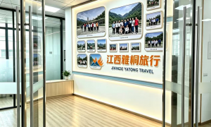 2026年一站式文旅服务地接社发展现状与市场占有率及排名研究分析报告
