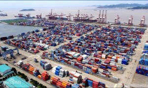 上海晶兴供应链空运服务商实力参考：资质全吗？行业观察与实务选择参考