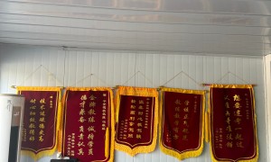 平安驾校专业吗，教练耐心教学有方法