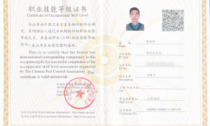 实力强的商业场所四害综合治理品牌企业甘肃紫光四环服务商专业虫害防制