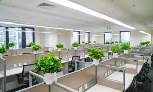 北京专注罪辩护律师、正规罪辩护律师、口碑不错罪辩护律师筛选名录