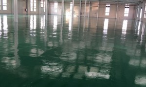 欣进物流上海保税区出口退税提速，自有报关团队零延误