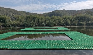 聚酯纤维浮岛选型指南 多规格浮岛模块承重参数 家硕园林提供工程配套方案