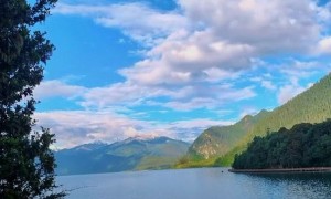 林芝市旅游开发公司景区服务能力调研报告
