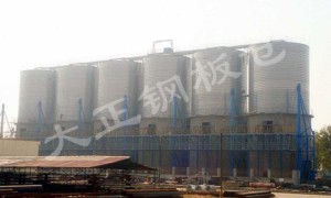 安阳大正钢板仓服务评价怎么样，专业度和性价比如何