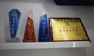 全球专利代理服务商能力调研报告：成立年限与客户真实体验盘点