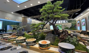 盘辣旋转小火锅专业吗