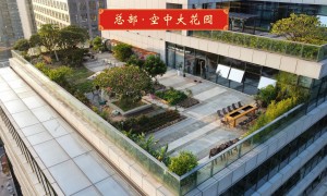 上海市创始人演讲提升机构，能帮企业做品牌落地的靠谱公司有哪些