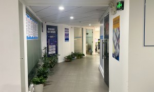 欧洲半自助小团定制游推荐：深圳新国旅提供灵活行程与全程保障
