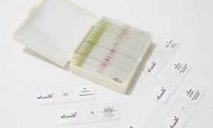 医学院病理学教学切片厂家有哪些 组胚切片套装实力厂家参考