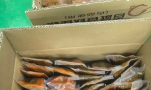 百岁鱼火锅底料商用调味原料 元品调味品厂家供应 麻辣养生多味可选