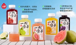 郑州动康食品工程有限公司规模怎么样