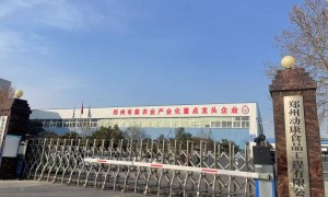 2026年评价高的果汁茶饮料源头生产厂家实力参考