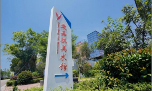 梅山湾旅游发展服务中心创新能力强不强，技术实力怎么样