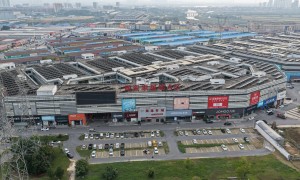 长沙绿植去哪里买好？湾田国际苗木市场一站式采购参考