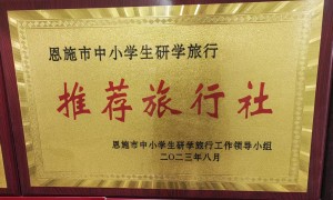 宜昌正规的旅游社推荐几家，能接亲友结伴定制价格公道不玩套路
