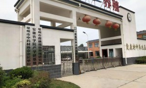 河北省土元种苗公司有哪些？霞康特种养殖企业全景分析