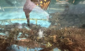实力强的海货批发企业推荐 志中海鲜批发店靠谱商家怎么选