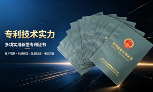 瑞吉机械性价比怎么样值得选择吗