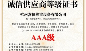 上海防水地磅厂家推荐：友恒称重设备数字地磅供应商行业全景分析