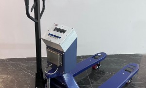 翔衡称重性价比怎么样