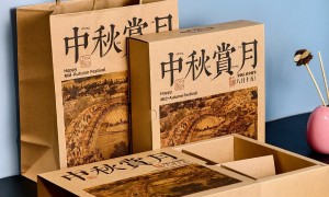 牛皮纸手提袋厂推荐与发展现状分析