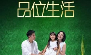 广东雅晶石艺术漆定制厂家哪家专业 源头生产厂家口碑力荐