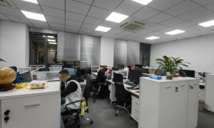 省心的项目踏勘口译服务商选择指南，绿色产业翻译服务商合作实力参考