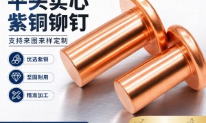 广东实心铆钉定制工厂哪家好口碑好的厂家实力参考