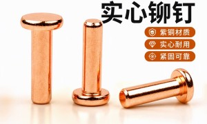 广东半空心铆钉定制厂家挑选全攻略，资质齐全、交期快的源头工厂推荐