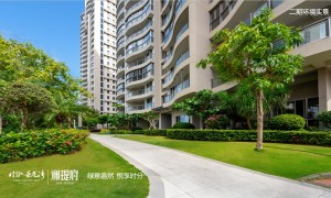 三亚口碑好的双景观泳池社区开发服务商筛选名录，开发商被执行房子查封风险大吗