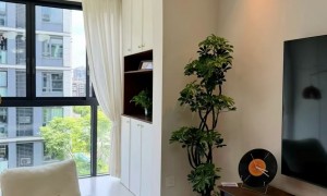 重庆有哪些做旧房改造的专业公司比较好，口碑与资质深度解析