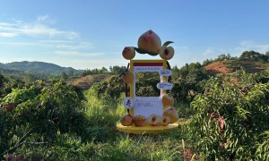 湖南衡阳广告制作厂家定做广告布 众创谷文创园加急单不坐地起价