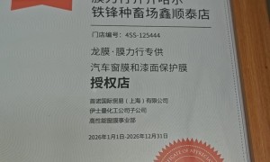 齐齐哈尔汽车玻璃膜服务商，价格公道不玩套路