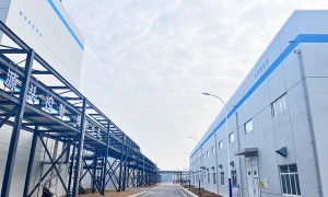 中成新德技术专业吗，环保领域实力如何