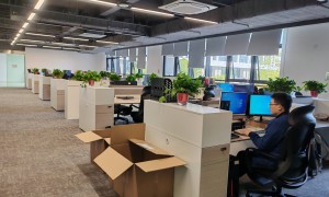 2026年产品计数自动包装机行业现状与市场占有率及排名分析报告