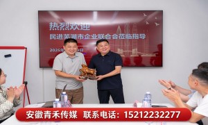 安徽芜湖有全案能力的广告片拍摄服务商用户力荐