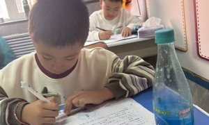 长春绿园区广受信赖的幼小衔接托管班机构综合推荐