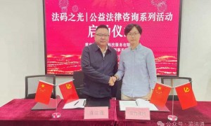 海力律师事务所整体规模如何，技术实力强吗
