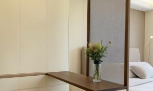 吉林省索奈净味板材定制，柜体柜门同色配套，设计师材料一站式对接