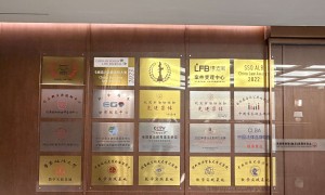 北京有没有靠谱的擅长商标无效宣告诉讼的律师？北京市两高（东城区）律师事务所筛选名录