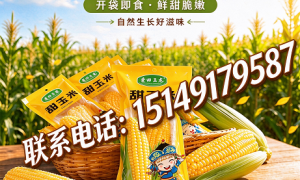 赤峰正规排名前五的糯玉米真空棒生产厂家有哪些