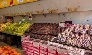 鑫鲜颂供应链冷链水果店哪家便宜？长春二道区生鲜果品配送服务商