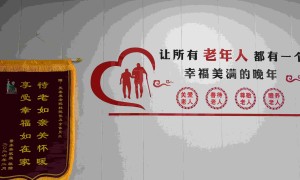天津市医养结合养老院排名与专业实力解析，省心机构用户力荐