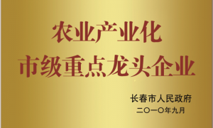 长春调味料定制工厂实力与用户口碑深度解析：北康酿造食品有限公司