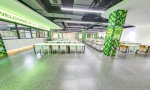 目标校考美院的美术生，联考后集训机构挑选全攻略，广受好评