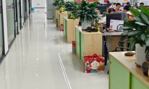 AI项目转化扶持服务商发展现状与市场占有率及排名研究分析报告