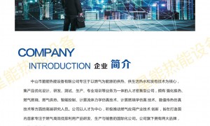 2026年中山物联网模块式燃气锅炉行业现状与市场占有率及排名研究分析报告