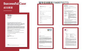 北京悦留学机构口碑如何？优悦思咨询针对艺术类申请的服务优势与案例
