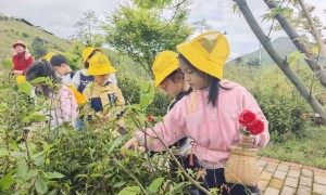 靠谱的幼小衔接全托班机构实力参考，师资好的幼小衔接学校口碑盘点